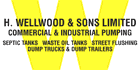 Wellwood H & Sons Ltd - Logo