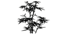 Bamboo Beach Fusion Grille - Logo
