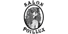 Salon Poillux Enr - Logo